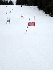 IMG_0145